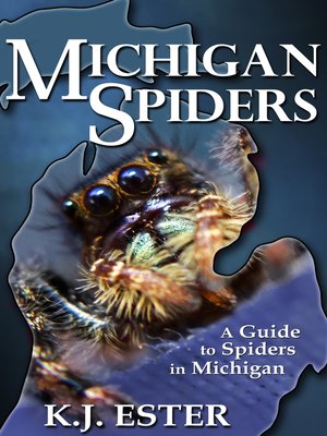 cover image of Michigan Spiders